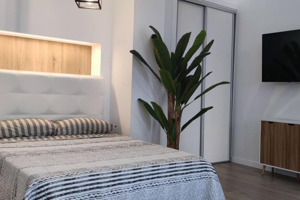 Estudio Diseno Cerca Ciudad Ciencias Vt-55211-V Valencia Ngoại thất bức ảnh